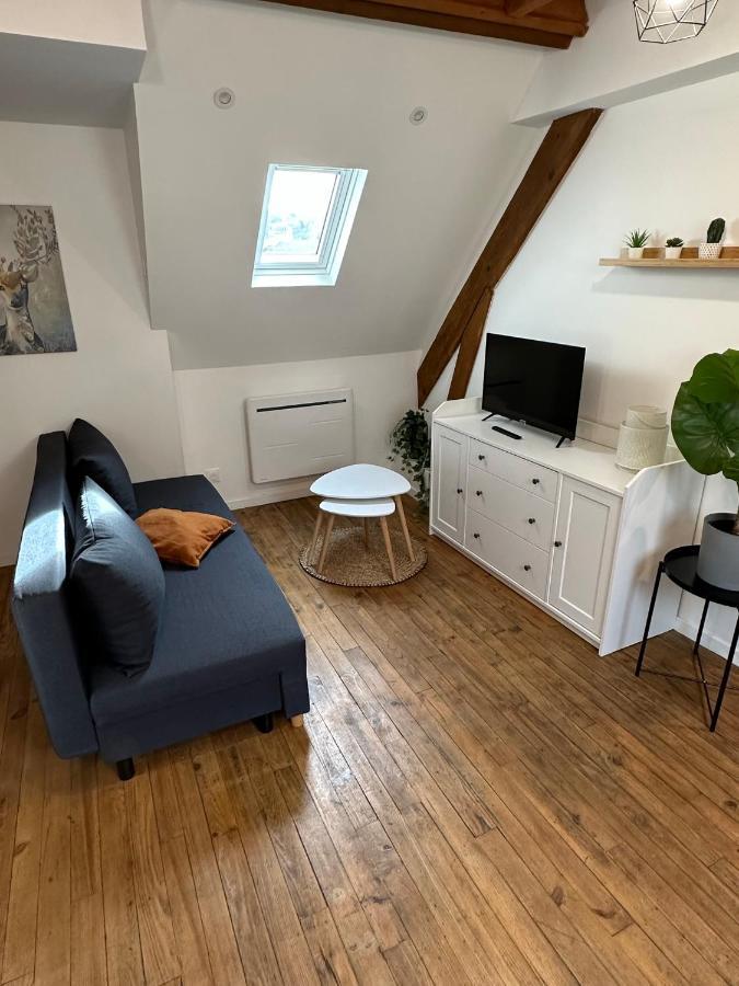 Superbe Appartement Mansarde Avec Mezzanine - Proche Centre Ville, Thermes, Aquensis Bagnères-de-Bigorre Exteriör bild